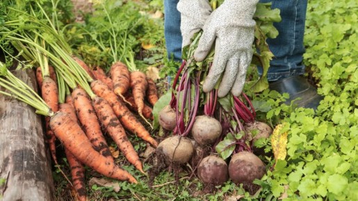 ������� ������ ����� �� ������ �������� �������