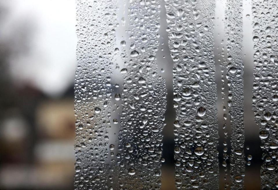 ��� ������ ���������� �� ���������� �� �����: ������� � ����������� �����