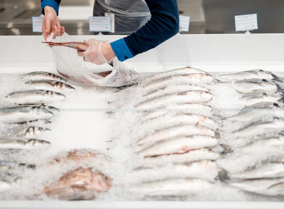 ��� ��������� ������� ����: ������ ��������