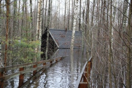 Избушку Бабы Яги затопило в Нижегородской области
