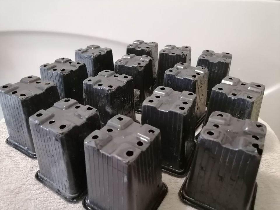 ������ � ���� �� ������ ��� �������: ��� ����� ����� ���������