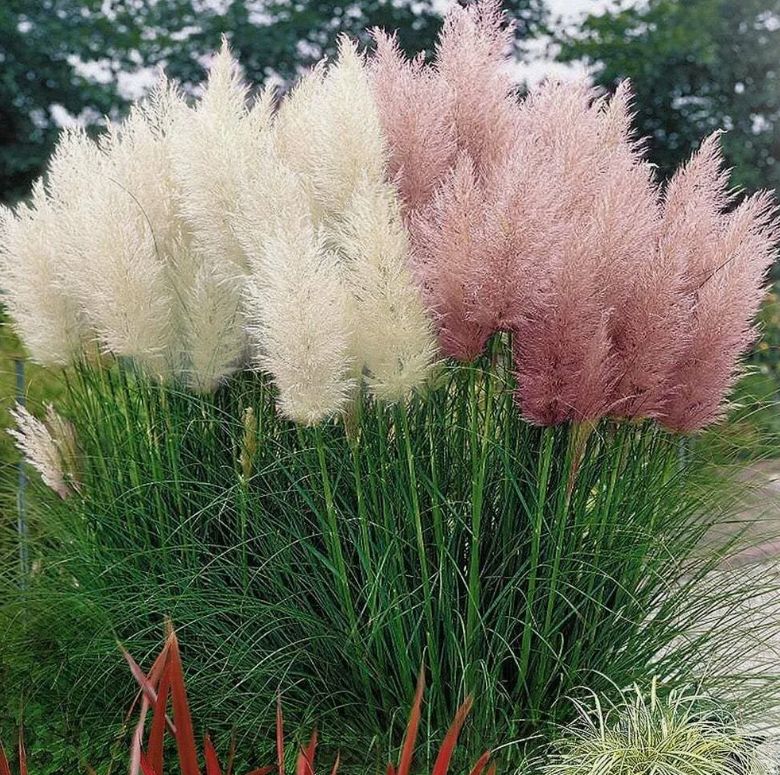 ������� ����������� ������������ ������: ��� �� ��������� ��� ������