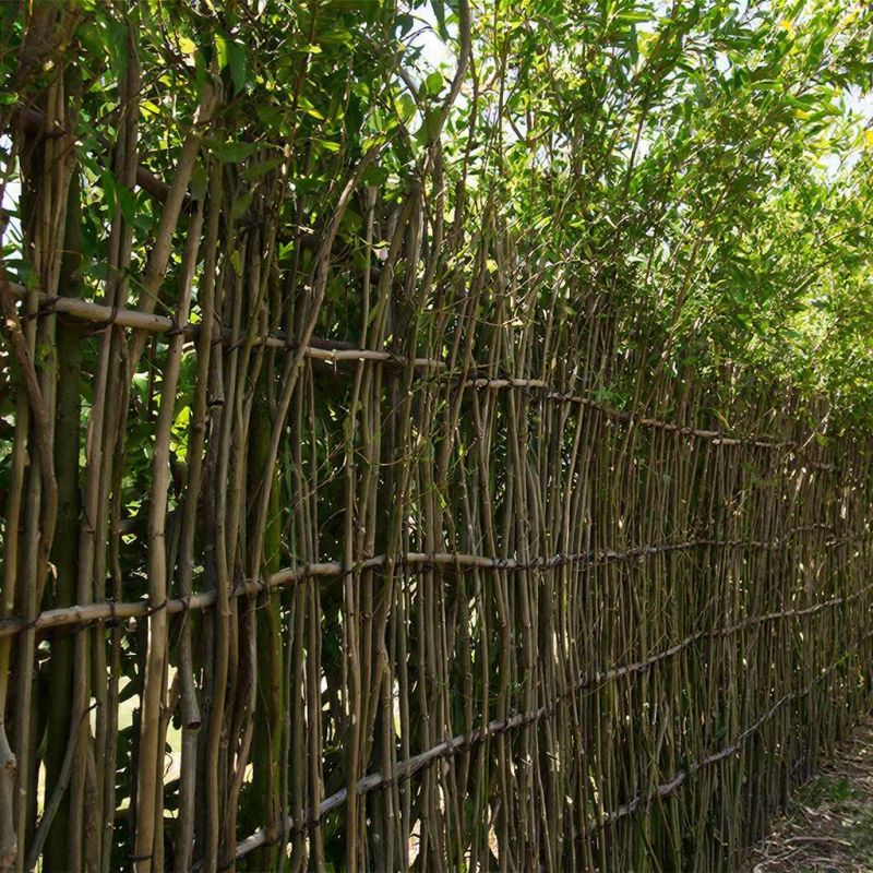 ����� �������� �� ��: ������� �����, ������� ������ ������ � ����