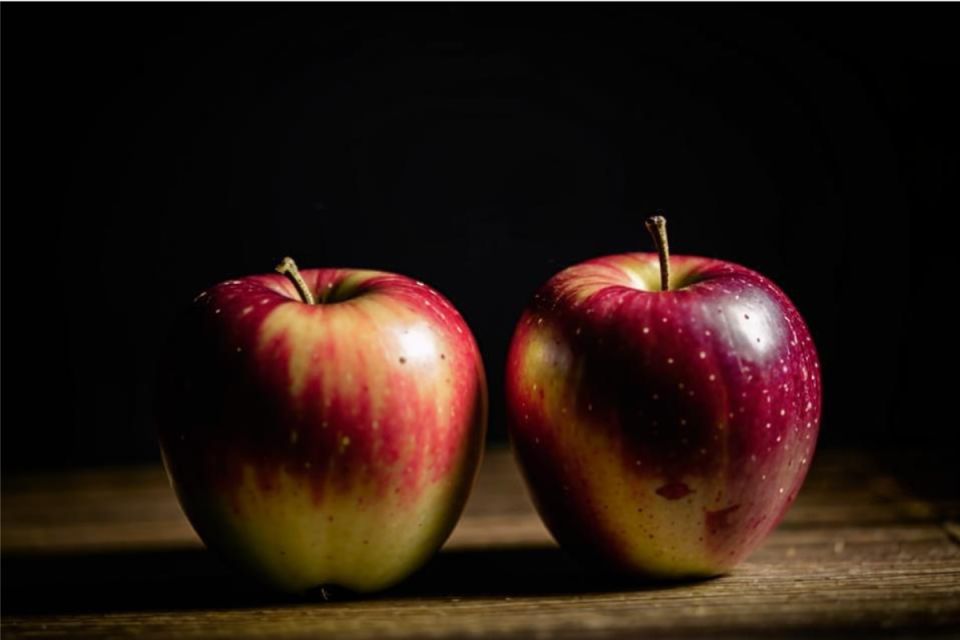 ����� �������� �������� �������� �������� ��������� ����