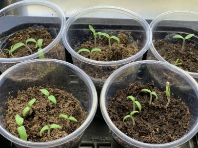 ����� ����� � ������ �����: ������ ��������� ��� ����� 2026