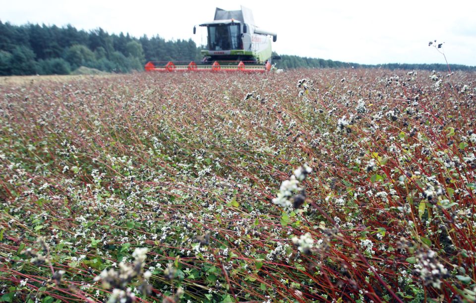 �������: ������� ���� � ���������� �����������