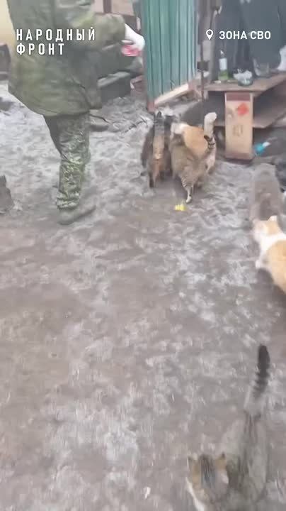 � �����, ������������ � �� ������� ������!