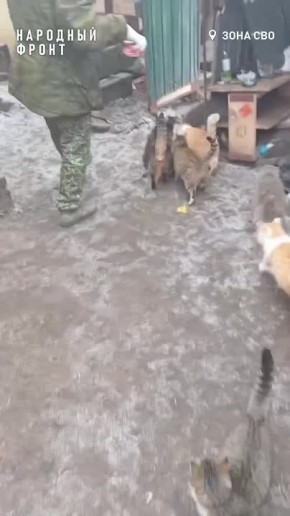 В тепле, безопасности и со вкусным обедом!