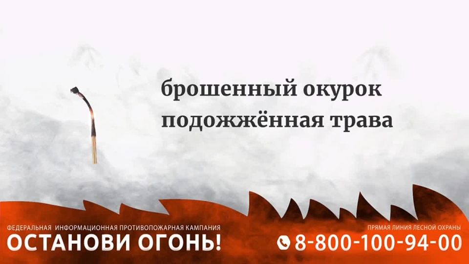 #��������_�����