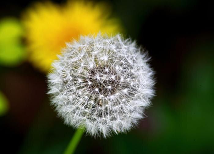 ��� �������� �������: ����������� ������ ��� ������� ������� �������