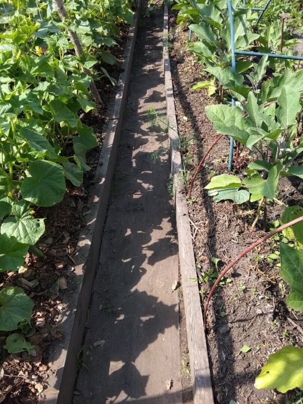 ��� ��������� ��������� ������: ������� ������ � ������ �����