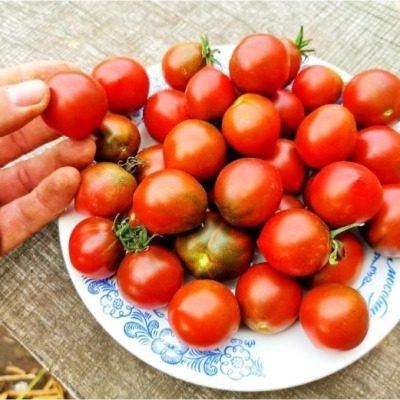 ���� ������� "������ ����������": ������������ ������ � ��������� ��������������