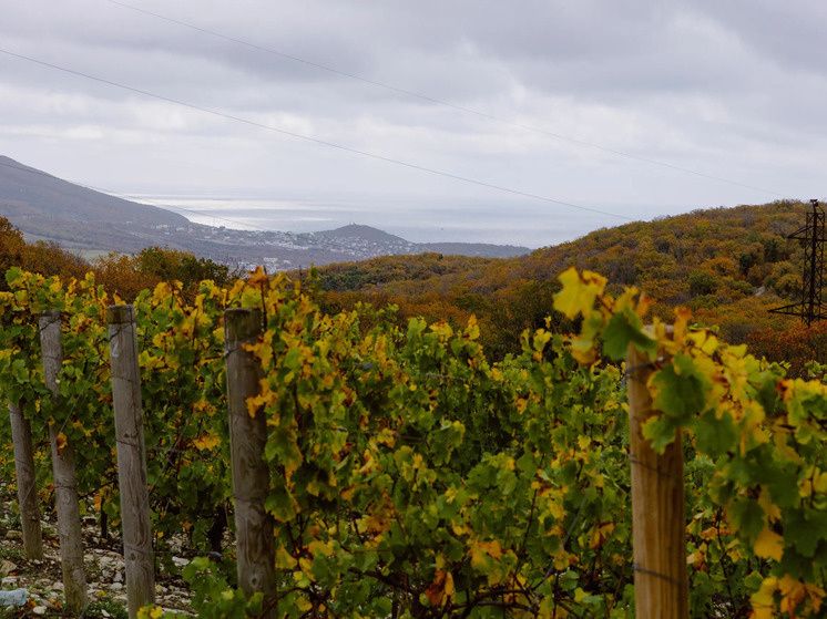 ���������� ������ ��������� ���������: ������-����� �� ���� � �������� �������