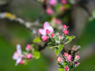 ����������� � ���������� ������� ������ � ���� �� �������