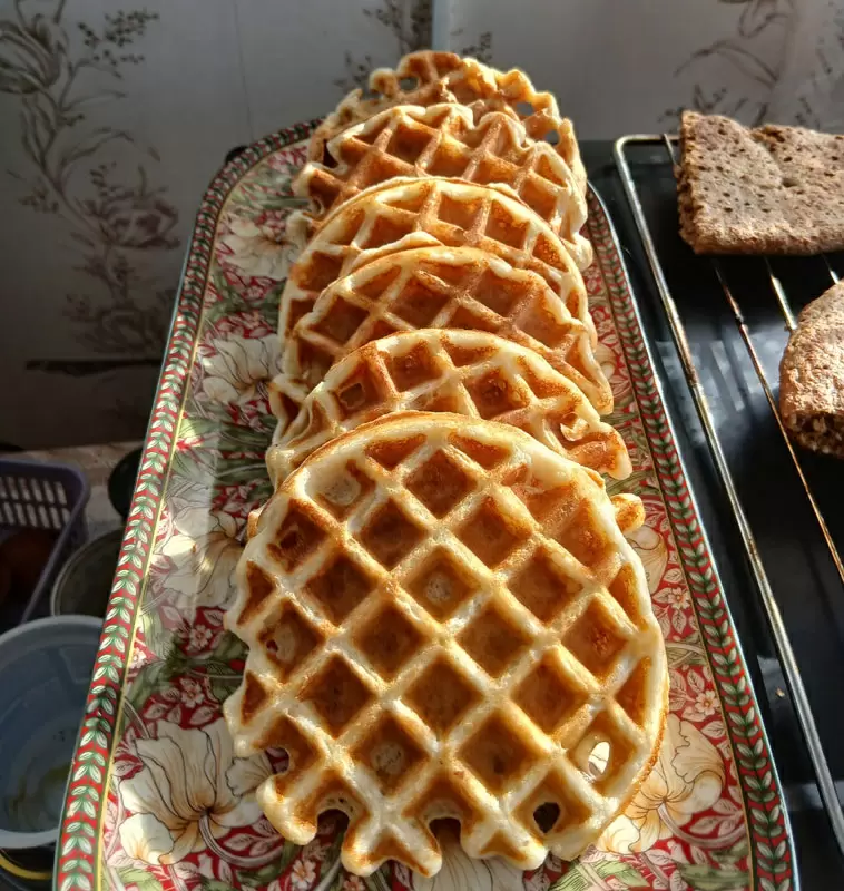 Вкусные творожно-гречневые вафли для здорового питания