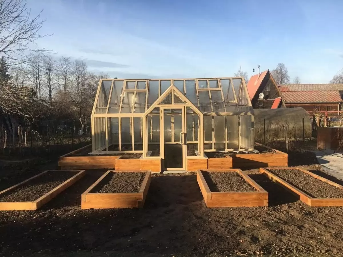 Секреты успешного огорода: советы по правильному соседству культур