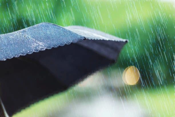 �� �������� ������� ����� � ����� ����