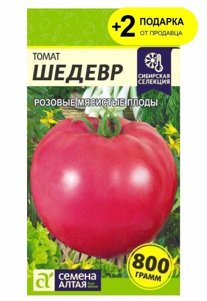 ����� ������ � �������: ������������� ���� � ���������� ������ � ������� ������