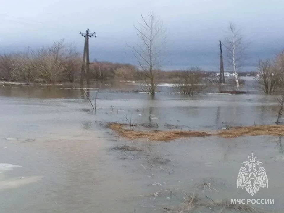 4 ������� ��������� ������������ �� ���� � ������������� �������