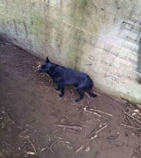 ������������� ��������� �� �������� �������� �������� �� ���� ����� ���� ��������