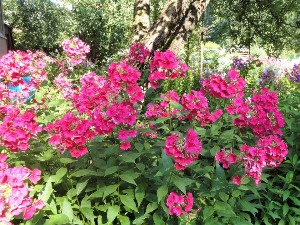 ����������� ������� � ������ � ��������� �������: ����� ��� ��������?