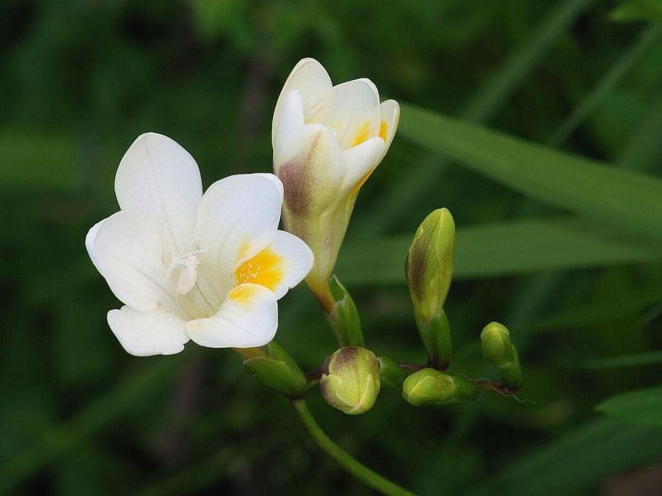 ������: ��������� ������� ��� ������ �������