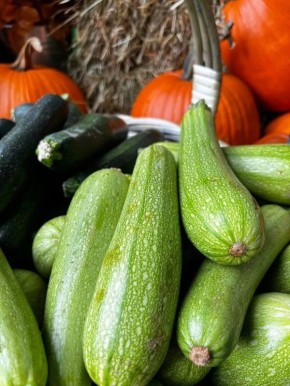 ��� ��������� �������, ������� �������� ������� ��� ����: ������ ������� ��������