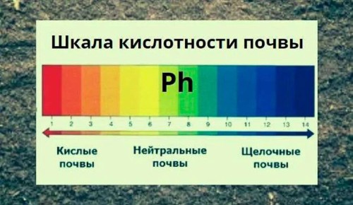 ��� �������������� ��������� ����������� ����� �� ����� �������