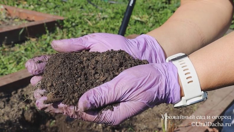 ���� � �������� � ��������: ��� ��������� ���� �� �������