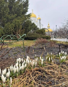 Весенние цветы радуют глаз в Дивееве