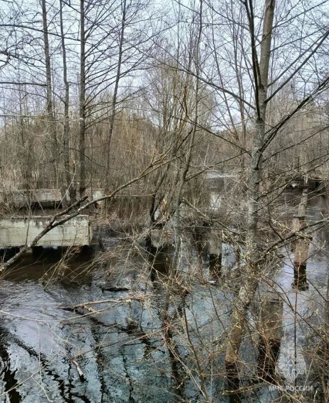 2 ����������� ����� ������������ �� ���� � ������������� �������