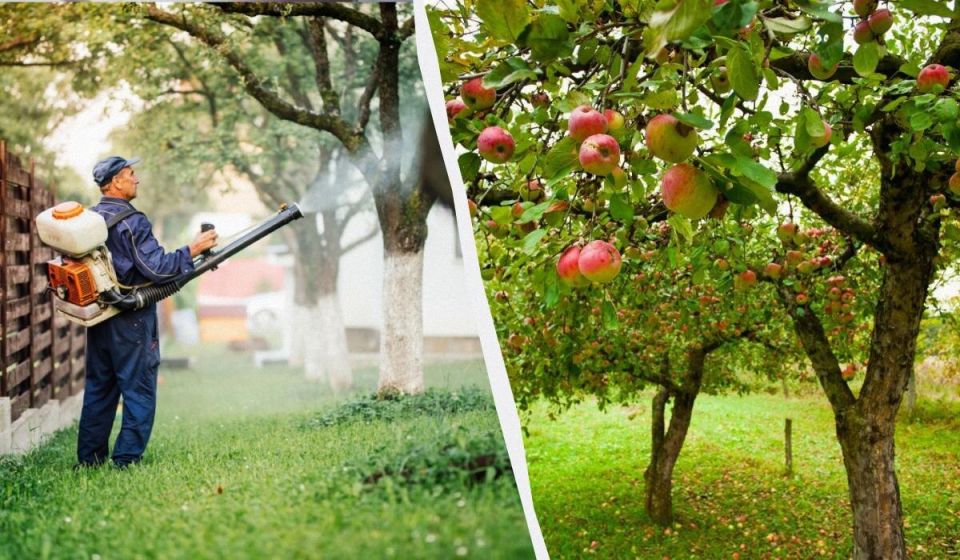 ��� ������ � ��� �� �������: ������� � ����������� ������� ��� ������ ����