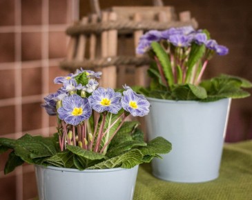 �������: ��� ������ ����� ������ ������ � ������� ��� � ����� ����