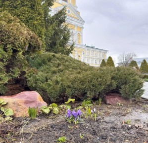 �������� ����� ������ ���� � �������