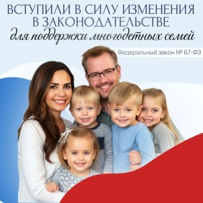 Федеральный закон № 67-ФЗ расширил перечень имущества, защищенного от взыскания в рамках возбужденного исполнительного производства