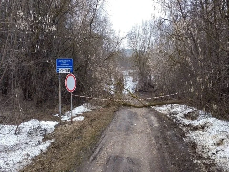 Новых затоплений в Нижегородской области нет, земля постепенно освобождается от воды, сообщает МЧС