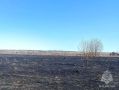 Травяные пожары постепенно набирают обороты в Нижегородской области