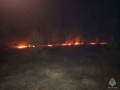 ���� ����� �����, � ������ ������ ������ � �� �������� ����� ����� ����� ���������� ����� � ������ ������� �������