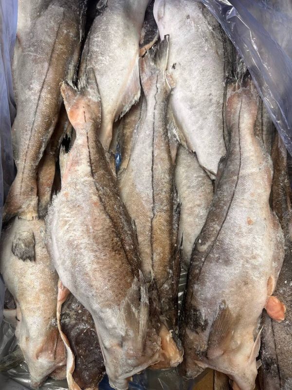 ����� � ��������: ������ ���� �� ��������� ����