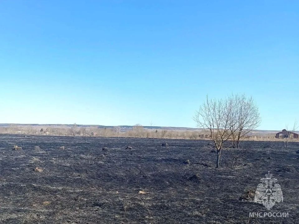 �������� ������ ���������� �������� ������� � ������������� �������