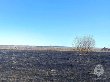 Травяные пожары постепенно набирают обороты в Нижегородской области