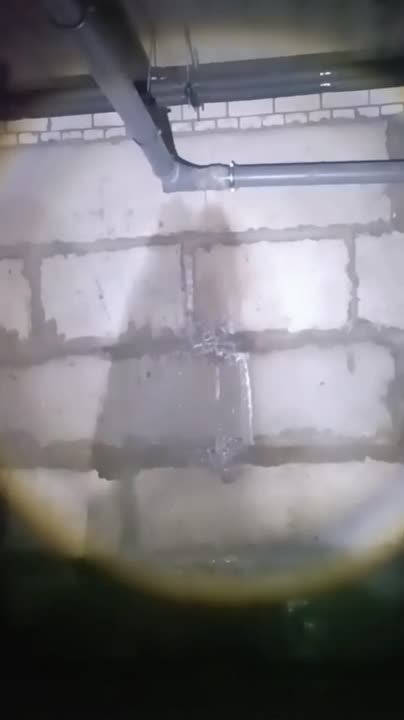 "Мы в ужасе! Жить невозможно!": жителей дома 76 по улице Рязанова в Балахне заливает нечистотами