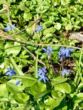 ��� ����� ������� � ������ ������� ���������!