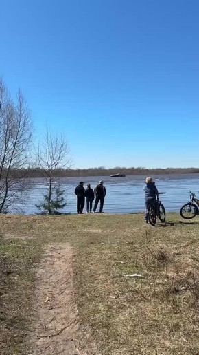 Лису на дереве мы уже видели