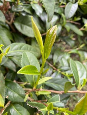 ��� ����: ���� � ���������� ����������