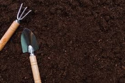 ������ ������ ��������: ��� �������� ����� ������ ������ ������� ��������� �����