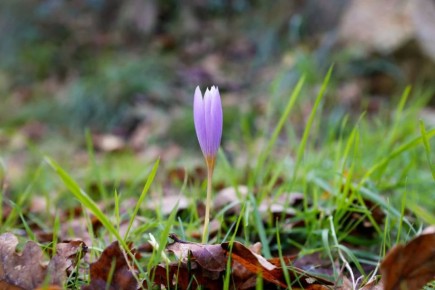 ����� ���������� �������� ����