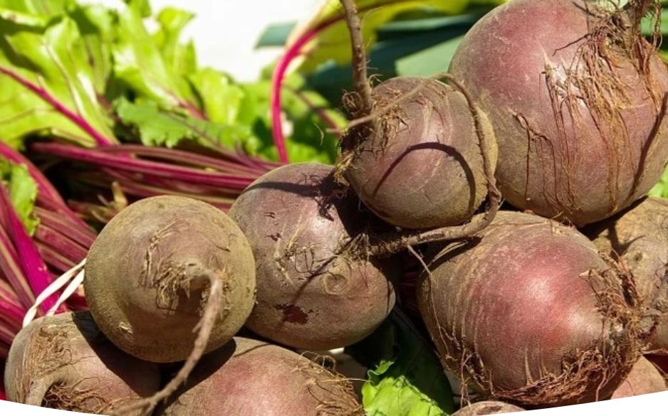 ��� ��������� ������� � ������� ������: ������� ��������� ������