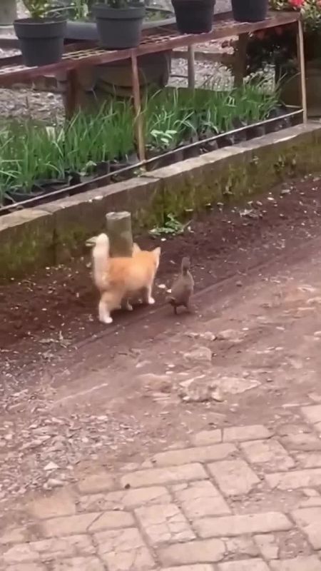 ���� ��������� �������� �� �����, ����� ������ � ������ ���� ����� �������� ��� ���������