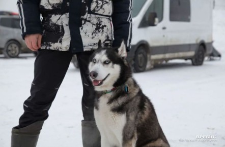 ������������ ����� ���� ��������� ������� � ������ ���������